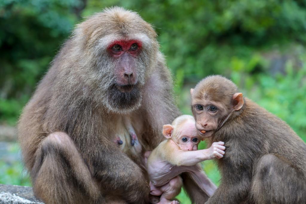 大美綻放！國(guó)家公園法施行