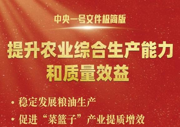 中央一號(hào)文件，極簡(jiǎn)版來(lái)了！