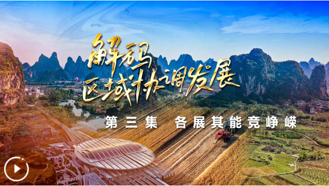 四集政論片《解碼區(qū)域協(xié)調(diào)發(fā)展》第三集《各展其能競(jìng)崢嶸》