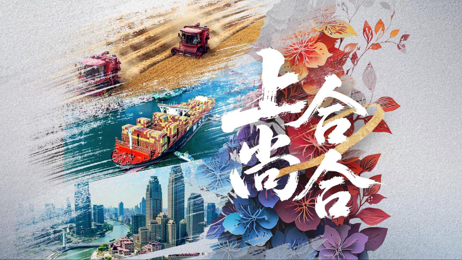 紀(jì)錄片丨上合，尚合