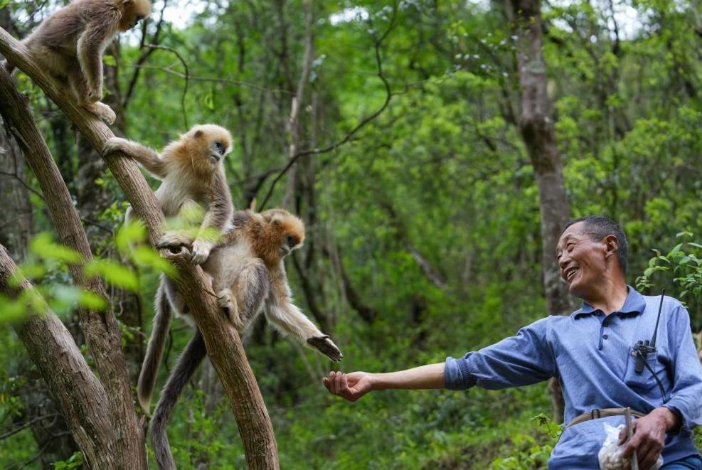 首次立法！國(guó)家公園筑起“法治屏障”